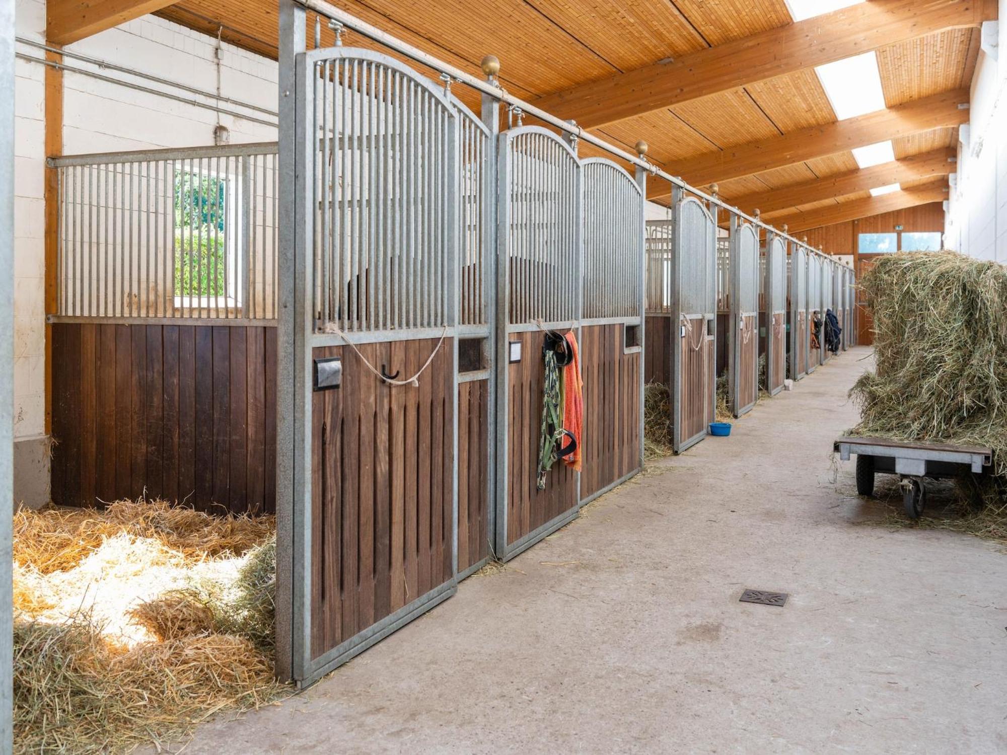 Holiday Home On A Horse Farm In The L Neburg Heath Eschede エクステリア 写真