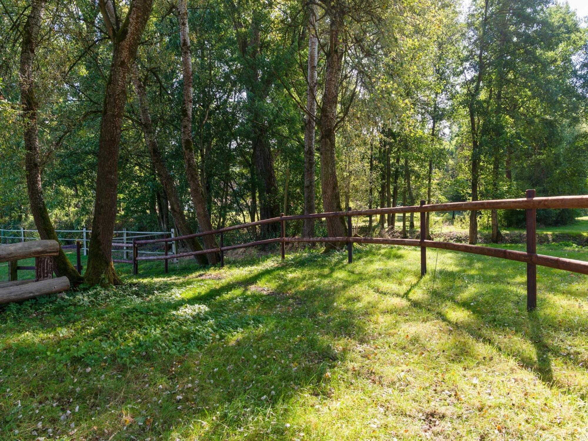 Holiday Home On A Horse Farm In The L Neburg Heath Eschede エクステリア 写真